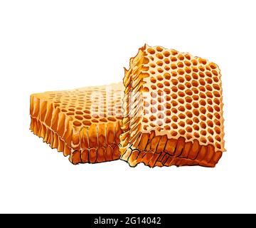 Wabenfarbene Zeichnung, realistisch. Vektordarstellung von Farben Stock Vektor