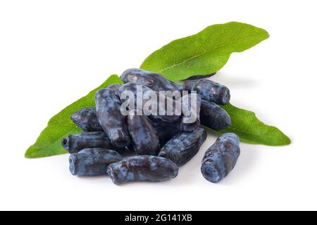 Sweetberry Honeysuckle mit isolierten Blättern Stockfoto