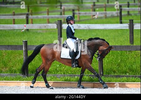 Kharkiv, Ukraine - 4. Juni 2021: Der Reitsport FEI Dressage World Cup Kharkiv 2021 Stockfoto