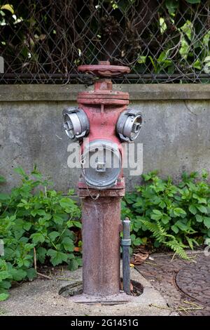 Nahaufnahme eines roten Hydranten auf einem Gehsteig Stockfoto