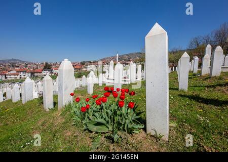 Der muslimische Friedhof von Kovaci, der den Opfern des Bosnienkrieges gewidmet ist, befindet sich in Sarajevo, Bosnien und Herzegowina. Stockfoto