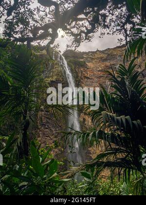 Catarata de Gocta, einer der höchsten Wasserfälle der Welt Stockfoto