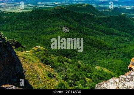 Sommerhintergrund mit Wald an den Hängen der Kaukasus-Berge Stockfoto