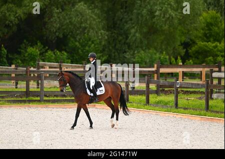 Kharkiv, Ukraine - 4. Juni 2021: Der Reitsport FEI Dressage World Cup Kharkiv 2021 Stockfoto