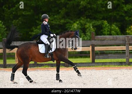 Kharkiv, Ukraine - 4. Juni 2021: Der Reitsport FEI Dressage World Cup Kharkiv 2021 Stockfoto