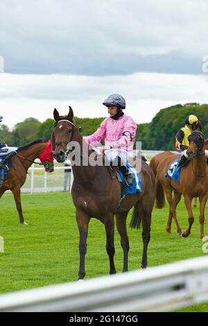 Jockey PJ McDonald auf dem London Arch vor dem Start eines Rennens auf der York Racecourse. Stockfoto