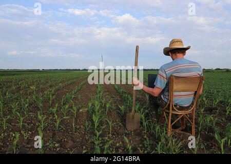 Bauer sitzt auf einem Stuhl in einem Maisfeld. Landwirt liest die Nachrichten im Internet per Laptop. Stockfoto