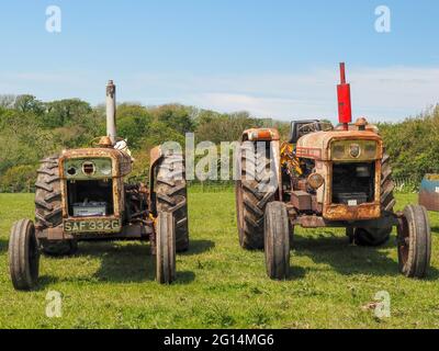 HOLSWORTHY, DEVON, ENGLAND - MAI 30 2021: Zwei verschiedene Oldtimer-Traktoren, landwirtschaftliche Fahrzeuge bei der Rallye. Scheinen Gesichter zu haben! Stockfoto