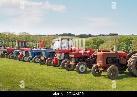 HOLSWORTHY, DEVON, ENGLAND - MAI 30 2021: Aufstellung von vielen verschiedenen Vintage-Traktoren, landwirtschaftliche Fahrzeuge bei der Rallye. Stockfoto