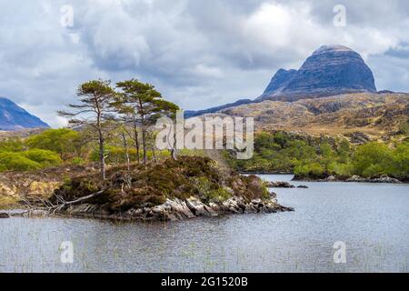 Landschaft in Glen Canisp im Assynt-Gebiet der North West Highlands von Schottland. Suiven Berg in der Ferne Stockfoto