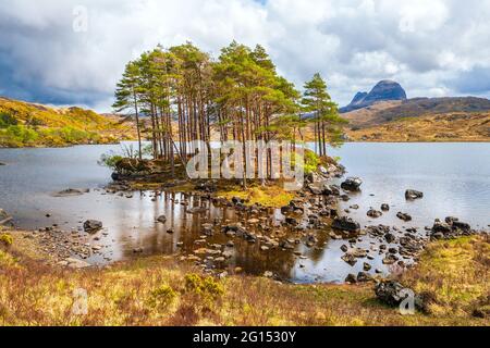 Landschaft in Glen Canisp im Assynt-Gebiet der North West Highlands von Schottland. Suiven Berg in der Ferne Stockfoto