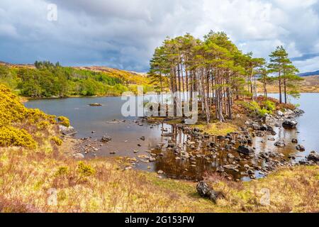 Landschaft in Glen Canisp im Assynt-Gebiet der North West Highlands von Schottland Stockfoto