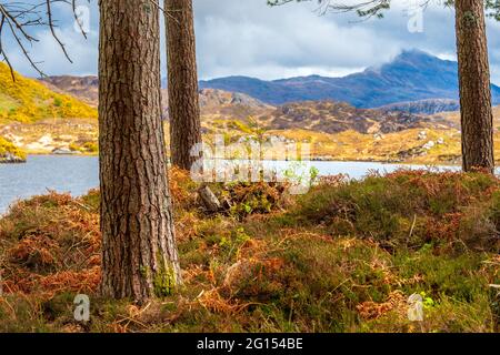 Landschaft in Glen Canisp im Assynt-Gebiet der North West Highlands von Schottland Stockfoto