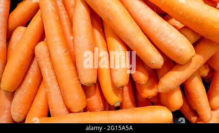 Karotten in einem Stall zum Verkauf platziert.Macro Photo Frühlingsfutter Gemüsekarotte. Textur Hintergrund von frischen großen orange Karotten. Produktbild Gemüse Stockfoto