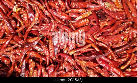 Eine große Anzahl getrockneter roter Paprika wird als Hintergrund verwendet. Getrocknete rote Paprika auf einem lokalen Markt Stockfoto