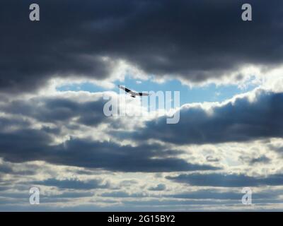 Putengeier steigt in Wolken auf: Ein aufsteigender putengeier an einem Herbsttag, an dem die Sonne durch dicke Wolken zu scheinen beginnt Stockfoto