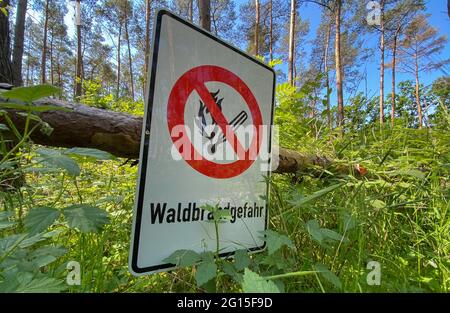 02. Juni 2021, Niedersachsen, Buchholz (aller): Im Heidekreis hängt ein Schild "Waldbrandgefahr" in einem Wald. Foto: Julian Stratenschulte/dpa Stockfoto