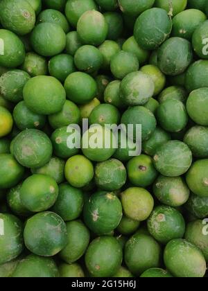 Persische Limette (Citrus × latifolia), auch bekannt unter anderen gebräuchlichen Namen wie kernlose Limette, Bärenlime und Tahiti-Limette, ist eine Zitrusfrucht-Spezies von h Stockfoto