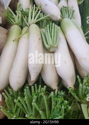 Daikon, auch bekannt als weißer Rettich, japanischer Rettich, chinesischer Rettich, Winterradish und Luobo, Ist in der asiatischen Küche beliebt. Das Gemüse ähnelt einem Stockfoto