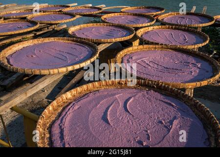 Garnelenpastentrocknung in Rattan-Schalen, Tao O, Lantau Island, Hongkong Stockfoto