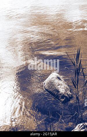 Große Felssteine liegen unter Wasser in einem klaren, transparenten See. Grüner Stein im See unter Wasser, der mit Moos überwuchert ist. Stockfoto