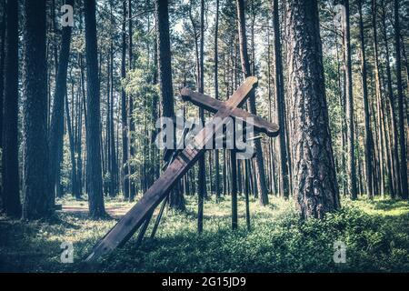 Holzkreuz als Denkmal und Denkmal im polnischen Wald. Denkmal und Gedenkstätte für die Opfer der Nazis im Zweiten Weltkrieg Stockfoto