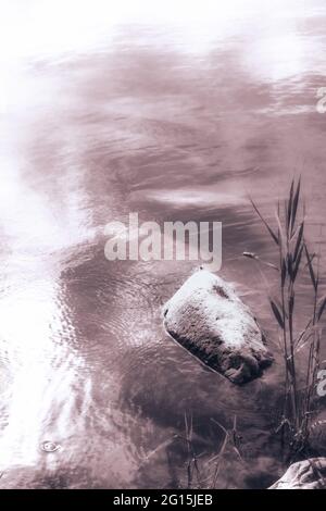 Große Felssteine liegen unter Wasser in einem klaren, transparenten See. Grüner Stein im See unter Wasser, der mit Moos überwuchert ist. Stockfoto