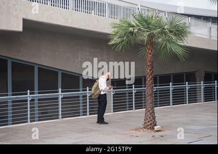 30.05.2021, Singapur, Republik Singapur, Asien - Mann mit einer schützenden Gesichtsmaske steht neben der Palme in Marina Bay und stöbert auf seinem Handy. Stockfoto