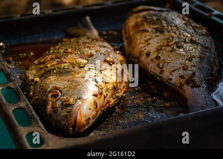 Fisch, der im Ofen auf einem Backblech gekocht wird, ist unglaublich lecker. Vor allem, wenn dieser dorado Fisch. Seitenansicht Stockfoto