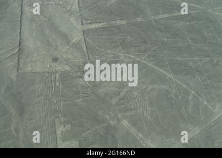 Luftaufnahme der Geoglyphe Condor an den Nazca Lines in Peru Stockfoto