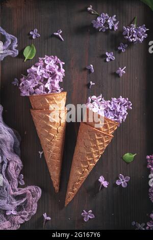 Schönes Eis mit Blumengeschmack. Sommerblumen-Komposition. Schöner Hintergrund für einen Geschenkgutschein. Stockfoto