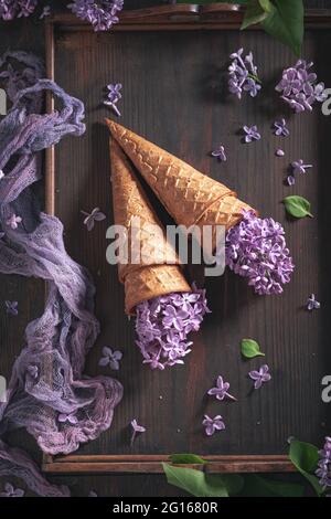 Wunderschönes Eis mit Blumengeschmack. Sommerblumen-Komposition. Schöner Hintergrund für einen Geschenkgutschein. Stockfoto
