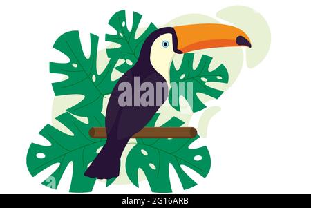 Toucan, exotische Vögel, Monstera, Paradiesvögel. Stock Vektor