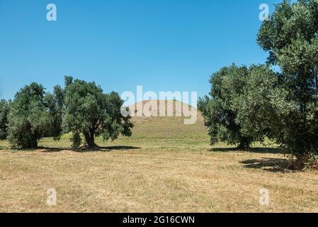 Der Tumulus oder Grabhügel der 192 bei der Schlacht von Marathon gefallenen Athens wurde auch als „Soros“ bezeichnet, der in der Nähe des Schlachtfeldes errichtet wurde Stockfoto