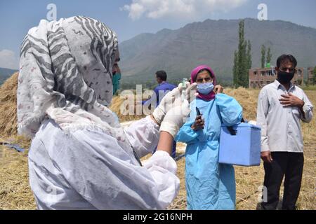 Kaschmir, Indien. Juni 2021. Ein Gesundheitsmitarbeiter bereitet sich darauf vor, eine Frau mit einer Dosis des Covid-19-Coronavirus-Impfstoffs zu impfen, um Landwirte zu impfen. Kredit: Majority World CIC/Alamy Live Nachrichten Stockfoto