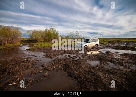 Mitsubishi Pajero/Montero stecken im Schlamm fest Stockfoto