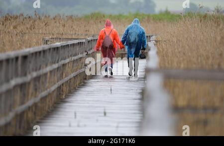 Bad Buchau, Deutschland. Juni 2021. Ein Paar im Regen Ponchos spaziert auf der rund 1.5 Kilometer langen Federsee-Fußgängerbrücke am Federsee. Der Federsee bei Bad Buchau in Oberschwaben (Kreis Biberach) ist mit einer Fläche von rund 1.4 Quadratkilometern der zweitgrößte See in Baden-Württemberg. Quelle: Thomas Warnack/dpa/Alamy Live News Stockfoto