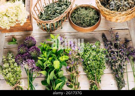 Ernte von Heilpflanzen. Heilende würzige Kräuter auf weißem Holzhintergrund. Alternative Medizin. Ayurveda Stockfoto