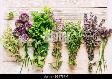 Ernte von Heilpflanzen. Heilende würzige Kräuter auf weißem Holzhintergrund. Alternative Medizin. Ayurveda Stockfoto