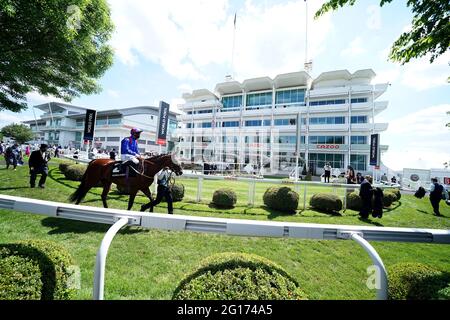 Am zweiten Tag des Cazoo Derby Festivals auf der Epsom Racecourse können sich Rennfahrer die Pferde im Paradering vor dem World Pool im tote Handicap anschauen. Bilddatum: Samstag, 5. Juni 2021. Stockfoto