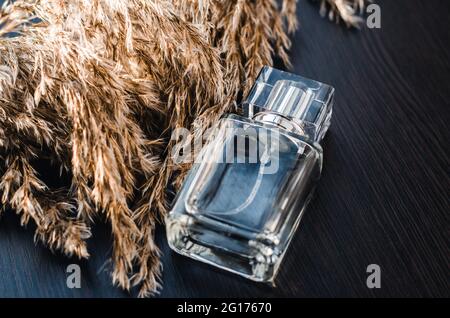 Eine Flasche Herrenparfüm auf dunklem Holzhintergrund. Stockfoto