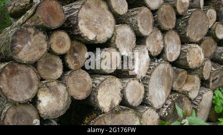 Natürlicher Holzhintergrund - Nahaufnahme von gehacktem Brennholz. Brennholz gestapelt und für den Winterhaufen aus Holzstämmen vorbereitet. Stockfoto