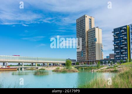 Wien, Wien: 84 m hoher hölzerner Wolkenkratzer HoHo Holzhochhaus, höchster hölzerner Wolkenkratzer der Welt, im neuen Stadtteil Seestadt Aspern, Teich Asperner SE Stockfoto