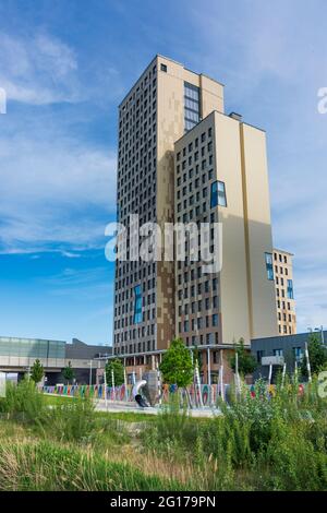 Wien, Wien: 84 m hoher Holzhochhaus oho Holzhochhaus, höchster Holzhochhaus der Welt, im neuen Stadtteil Seestadt Aspern im 22. Donaustadt Stockfoto