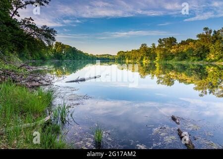 Wien, Wien: oxbow Lake Donau-oder-Kanal in Lobau, Teil des Nationalparks Donauauen (Donau-Auen Nationalpark) im Jahr 22. Donaustadt, Wien, Österreich Stockfoto