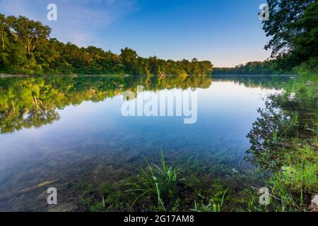 Wien, Wien: oxbow Lake Donau-oder-Kanal in Lobau, Teil des Nationalparks Donauauen (Donau-Auen Nationalpark) im Jahr 22. Donaustadt, Wien, Österreich Stockfoto