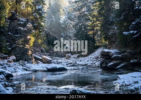 Wintermorgen Nadelwald im Schnee an einem sonnigen Tag. Bergbach in den Karpaten. Ukraine Stockfoto