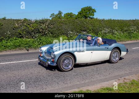1966 60s Blue 2912 ccm Austin Healey Benzin-Roadster, auf dem Weg zur Capesthorne Hall Classic Car Show im Mai, Cheshire, Großbritannien Stockfoto