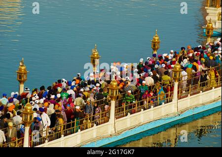 Indien, Penjab, Amritsar, Harmandir Sahib (Goldener Tempel), spirituelles und kulturelles Zentrum der Sikh Religion Stockfoto