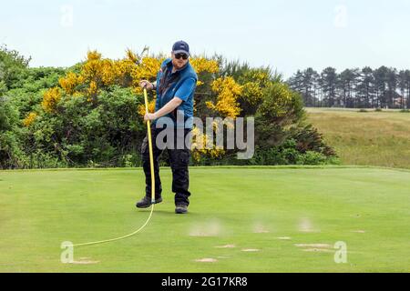 Troon, Großbritannien. Juni 2021. Der Kilmarnock (Barassie) Golf Club und die „R and A“ bereiten den Barassie Links Course vor, um für die 118. Amateur Golf Championship der Damen, die am 7. Juni beginnt, mit den letzten Runden am 12. Juni, bereit zu sein. Der Wettbewerb, der unter strengen Auflagen ausgetragen wird, hat mehr als 100 nationale und internationale Teilnehmer angezogen, die um die historische Trophäe und die Teilnahme an den AIG Womens Open, den US Womens Open, den Evian Championships und den Augusta National Womens Amateur Championships konkurrieren, Credit: Findlay/Alamy Live News Stockfoto